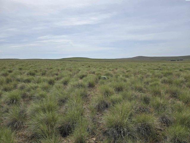 Land for sale in Mabton, Washington