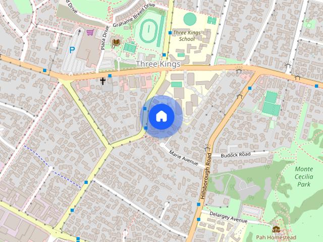 House for rent in Three Kings