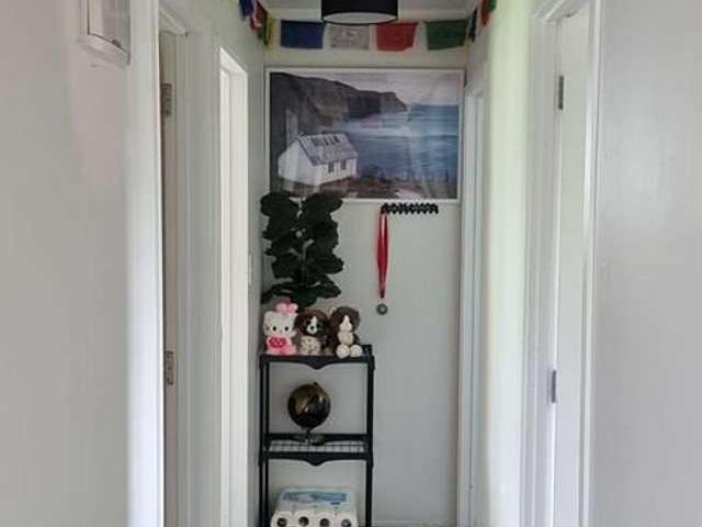 House for rent in Bay Of Plenty
