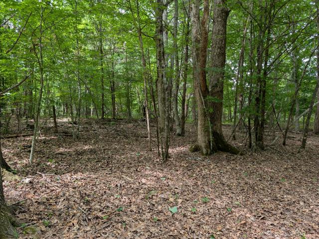 Land for sale in Burkesville, Kentucky