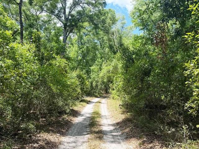 Land for sale in Suwannee, Florida