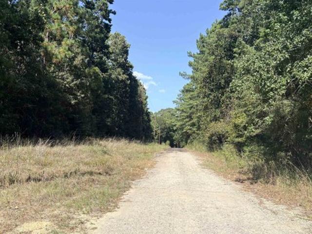 Land for sale in Village Mills, Texas