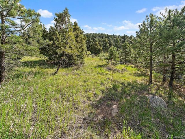 Land for sale in Evergreen, Colorado