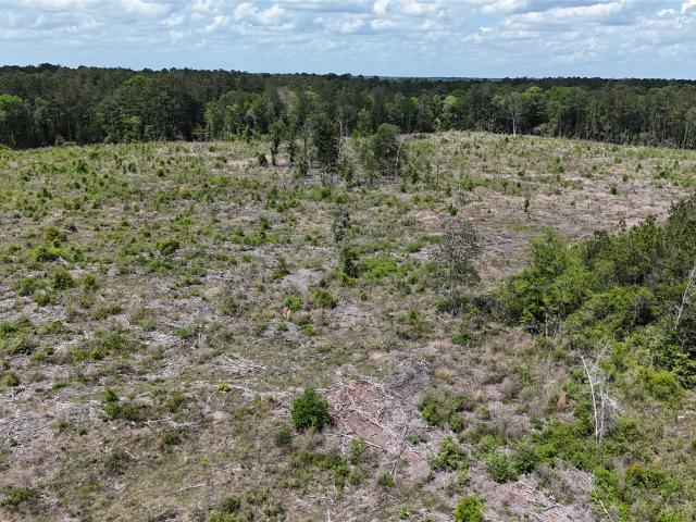Land for sale in Hillister, Texas