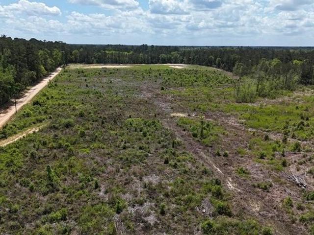 Land for sale in Hillister, Texas