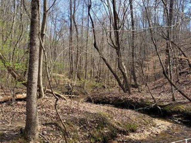 Land for sale in Paulding, Georgia
