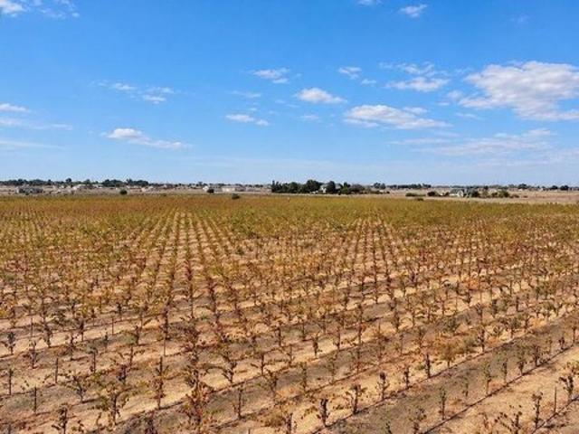 Land for sale in Knightsen, Contra Costa County