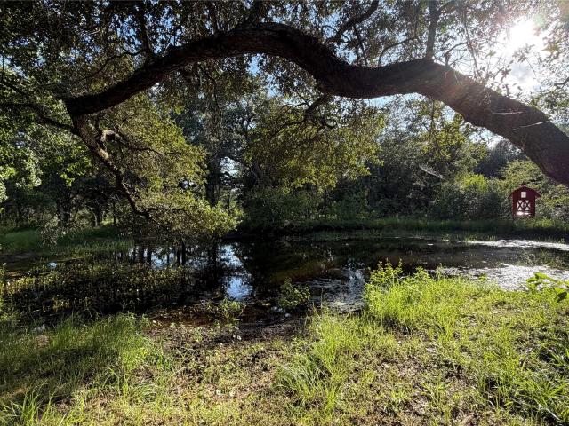 Property for rent in New Ulm, Texas