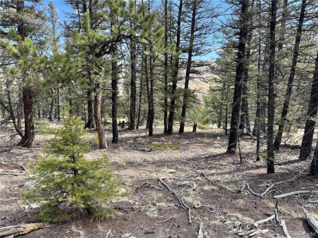 Land for sale in Fairplay, Colorado