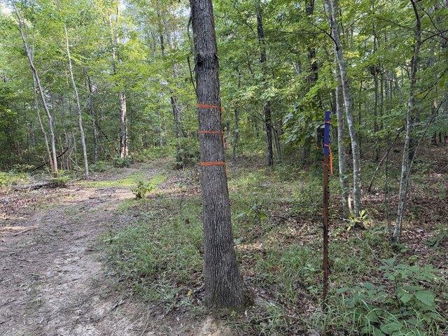 Land for sale in Tennessee