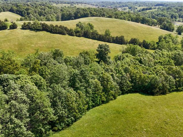 Farm for sale in Sadieville, Kentucky