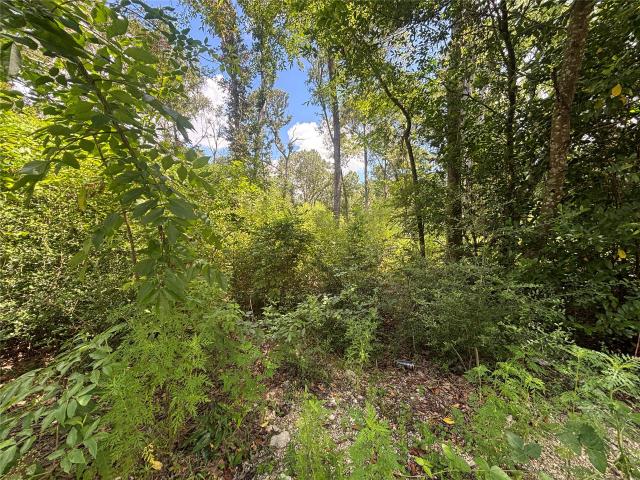 Land for sale in Splendora, Montgomery County