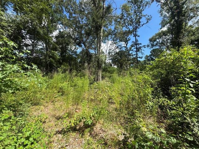 Land for sale in Splendora, Texas