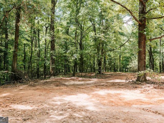 Land for sale in Maxeys, Georgia