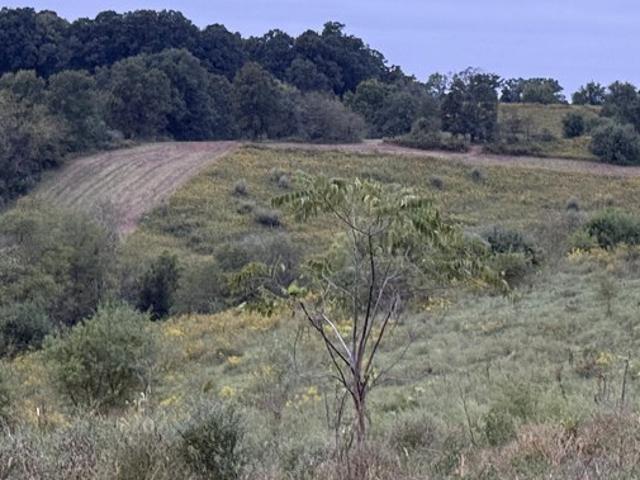 Land for sale in Falmouth, Pendleton County