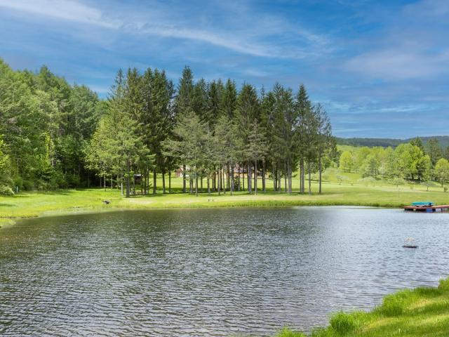 House for sale in Andes, New York