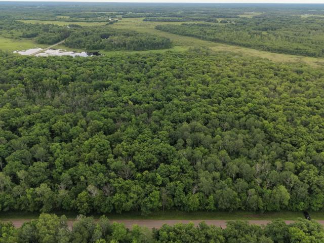 Land for sale in Minnesota