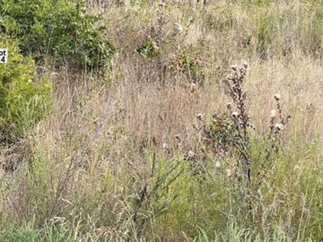 Land for sale in Agra, Lincoln County