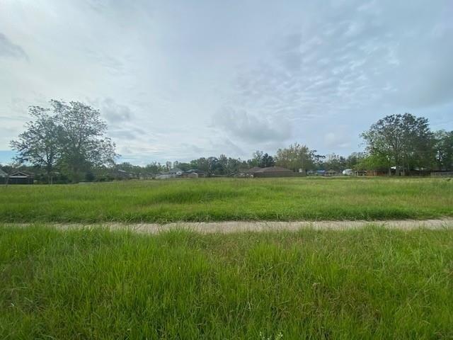 Land for sale in Violet, Louisiana
