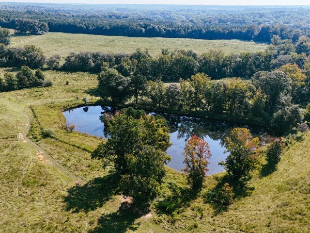 Land for sale in Grantville, Georgia