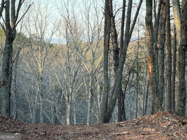 Land for sale in Bartow, Georgia