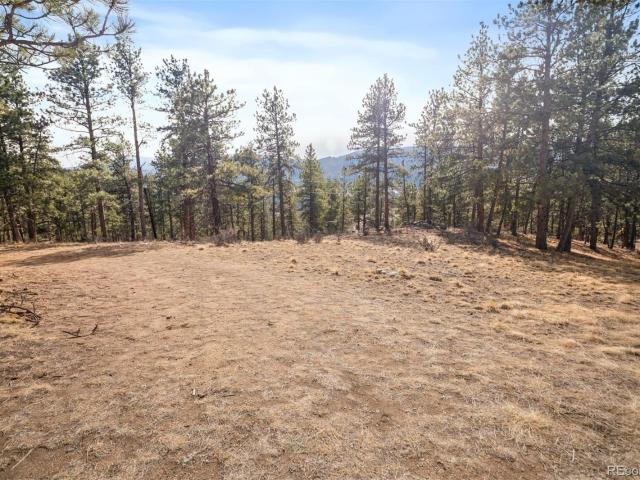 Land for sale in Bailey, Colorado