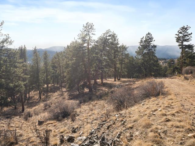 Property for sale in Bailey, Colorado