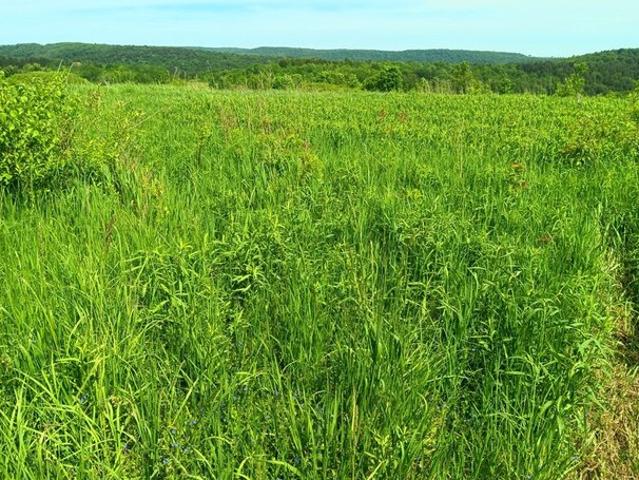 Farm for sale in Worcester, New York