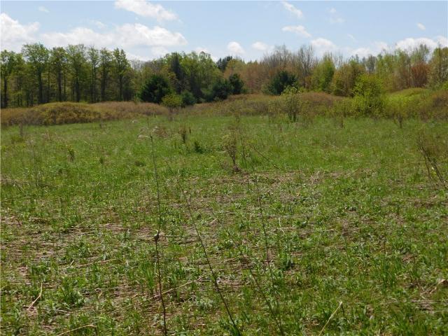 Land for sale in Worcester, New York