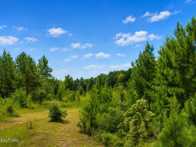 Land for sale in Tennessee