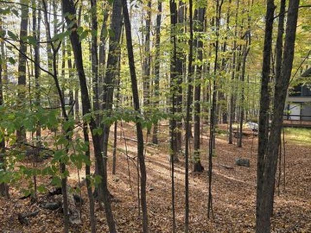 Land for sale in Lake Ariel, Lake Township