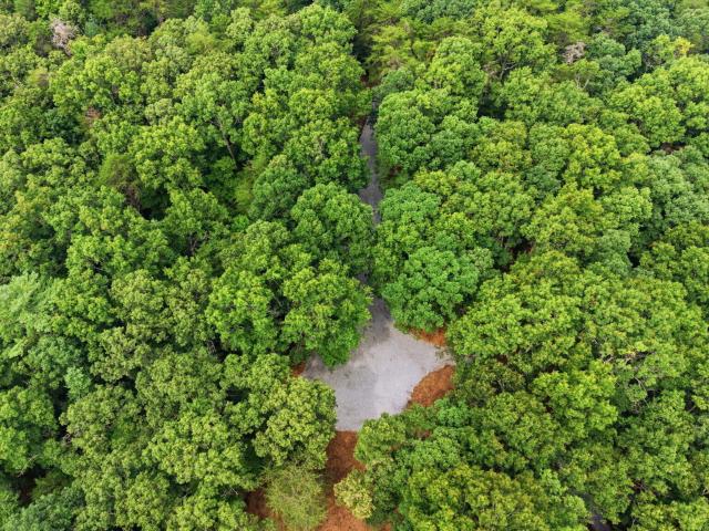 Land for sale in Morganton, Georgia