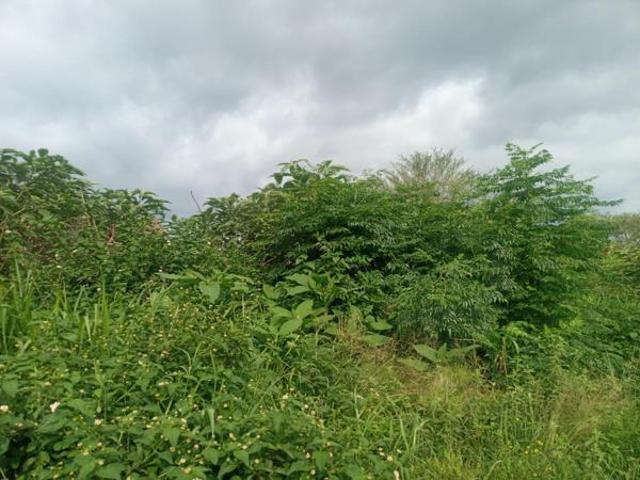 Land for sale in Ehlanzeni, Mpumalanga