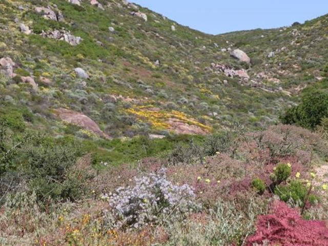 Land for sale in Western Cape