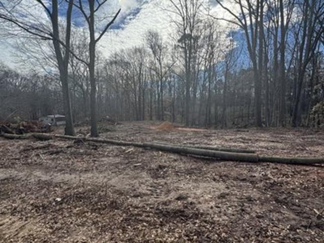 Land for sale in Elbert, Georgia