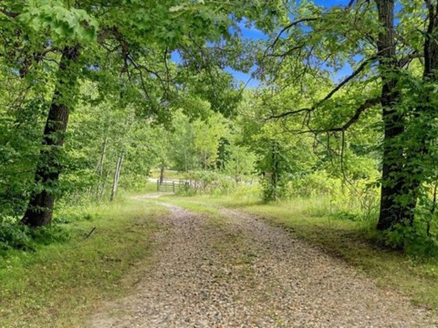Land for sale in Erhard, Minnesota