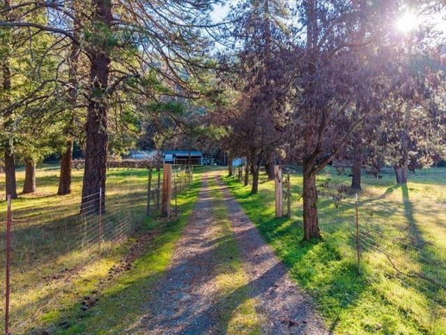 House for sale in Douglas City, California