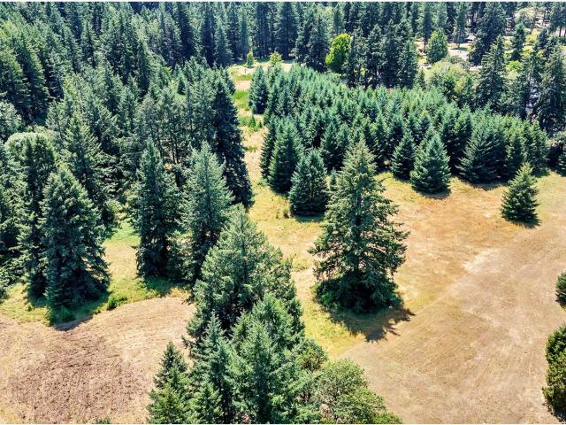 Land for sale in Veneta, Lane County