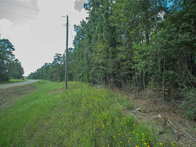 Land for sale in Polk, Texas