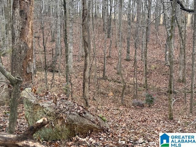 House for sale in Ashland, Alabama