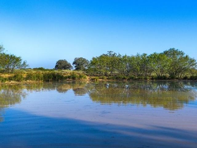 Farm for sale in Kingsbury, Guadalupe County