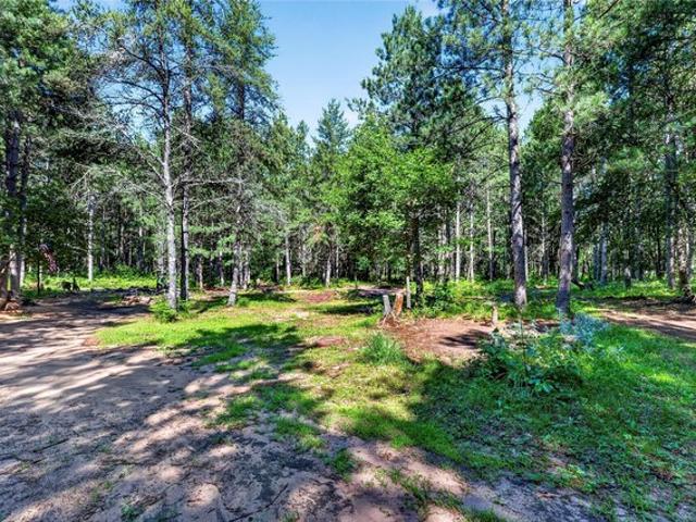 Land for sale in Webster, Wisconsin