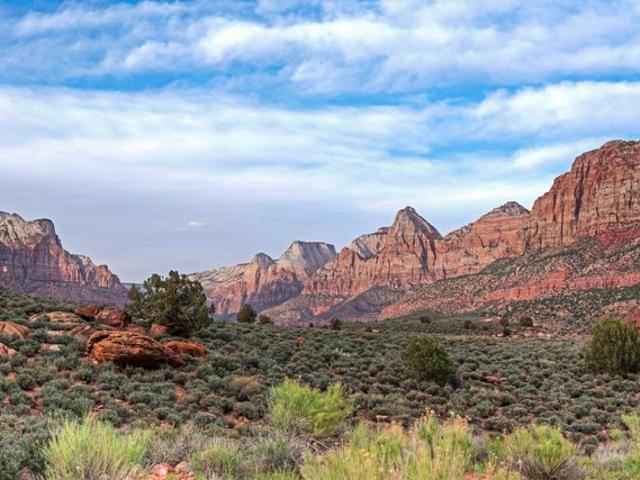 Land for sale in Springdale, Utah