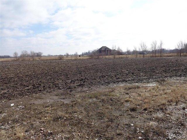 Farm for sale in East Saint Louis, Illinois