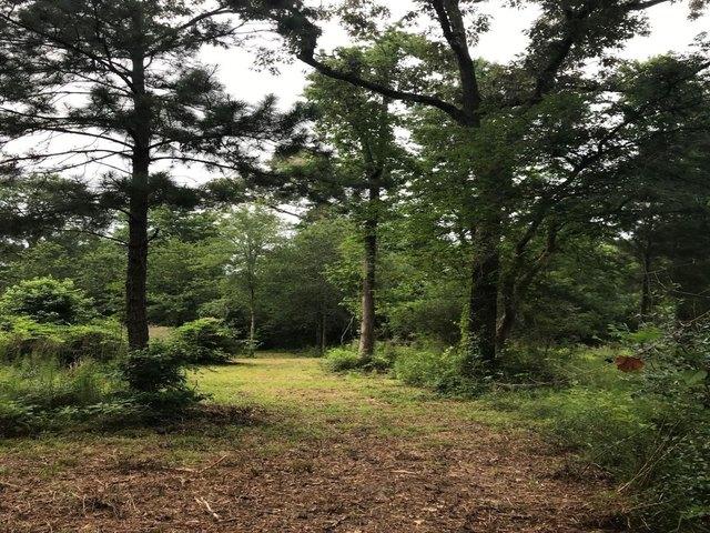 Land for sale in Magnolia, Texas