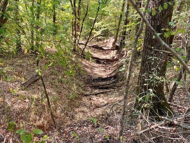 Land for sale in Fannin, Texas