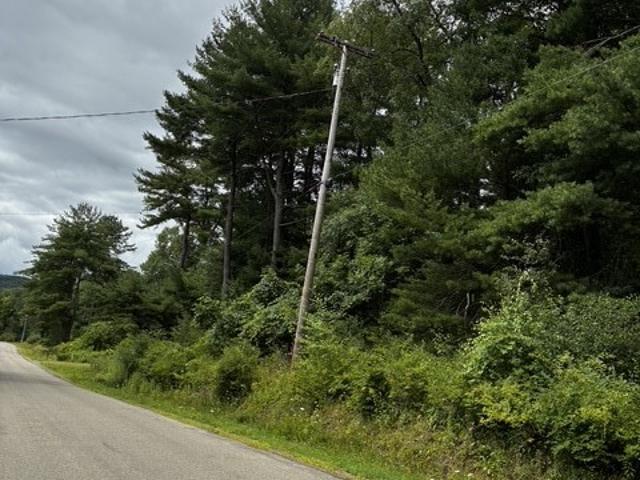 Land for sale in Allegany, New York