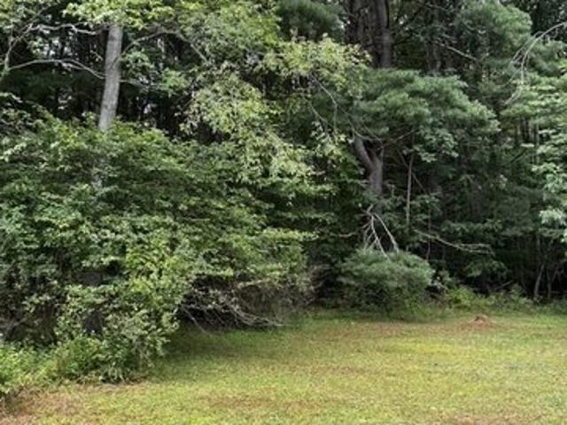 Land for sale in Allegany, New York