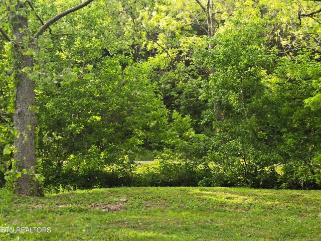 Land for sale in Tennessee