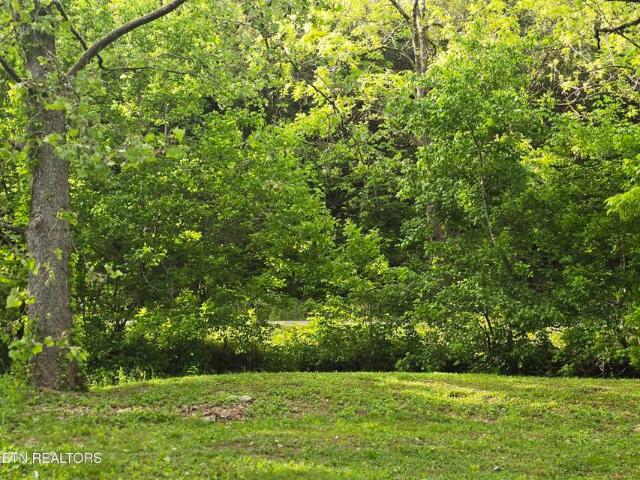 Land for sale in Tennessee